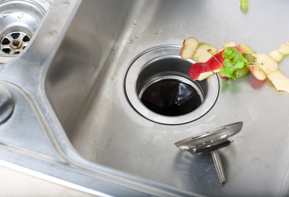 garbage disposal with leftover food scraps